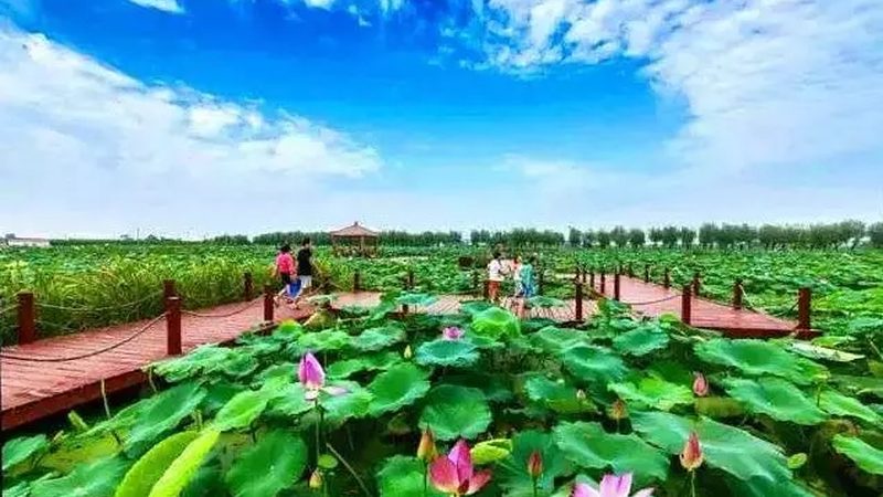 粮食种植公司加盟，如何把握关键要素？**