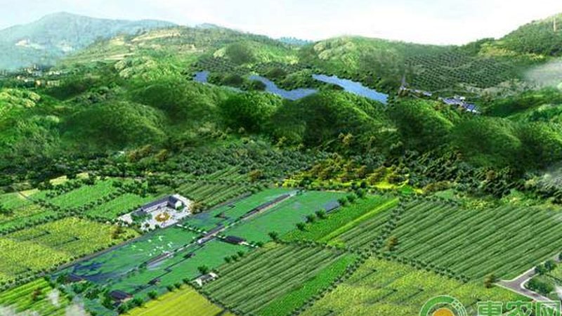 河南农村种植项目推荐