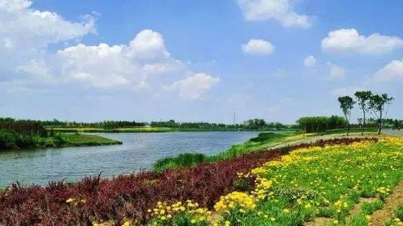 农民种植补贴怎么领