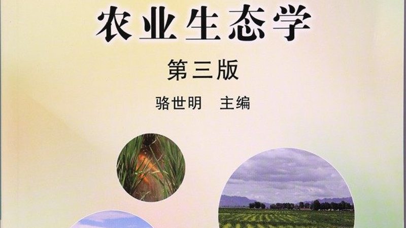 农产品批发代理：风险与机遇并存