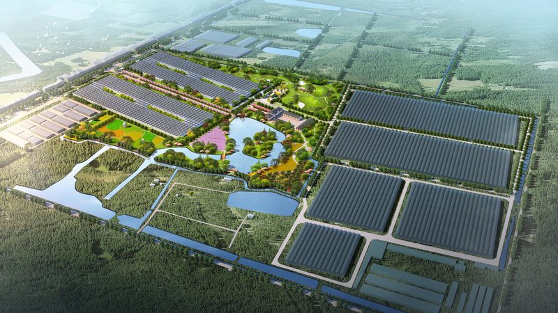 农业种植培训：费用构成与合理选择**