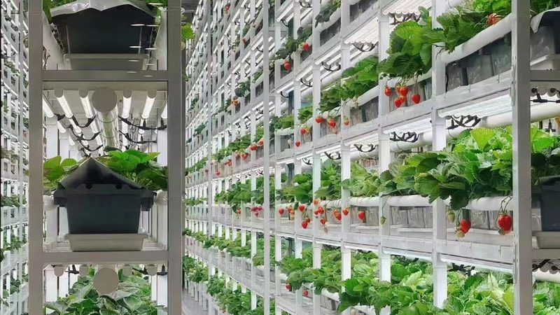 行业现状：一站式采购的兴起