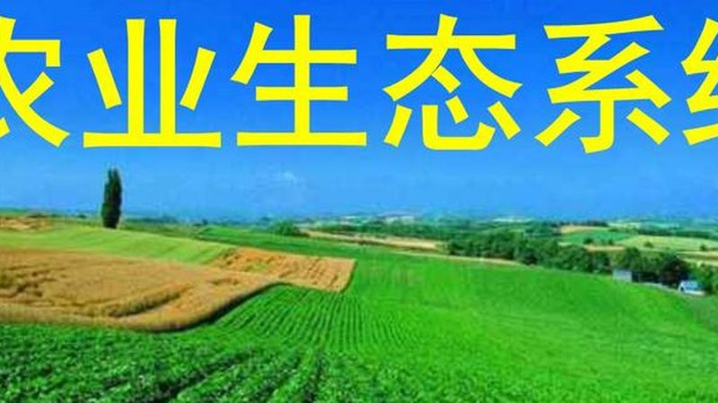 粮食种植用什么肥料好