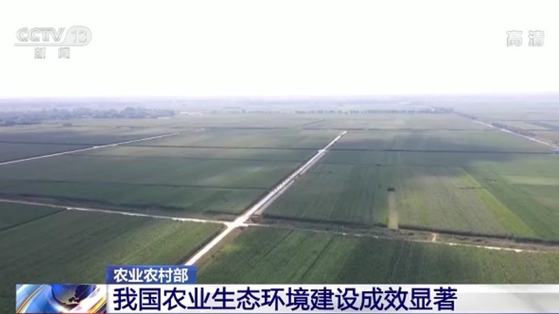 在材料中，详细阐述项目的背景和需求至关重要。这包括但不限于：