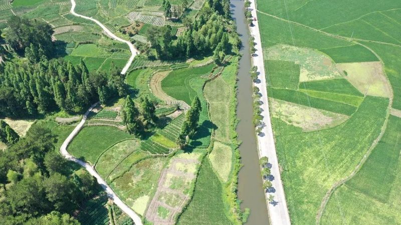 大棚水果种植成本解析：关键因素与控制策略**