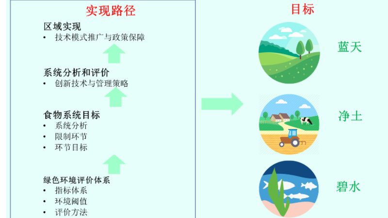 蔬菜溯源系统：守护食品安全，揭秘价格背后的秘密