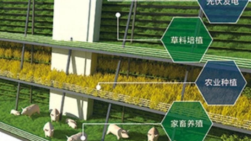 生态农业物联网设备厂家直销