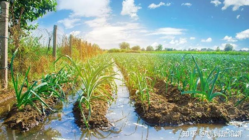 合作社税收优惠，如何精准把握政策红利？**