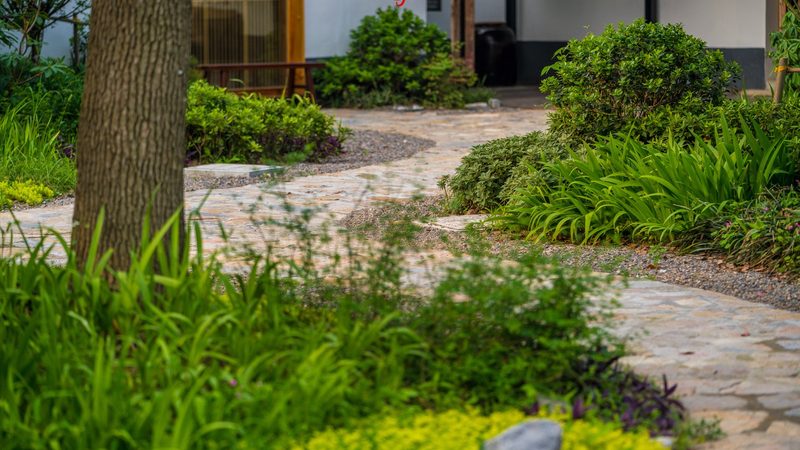 大棚蔬菜种植技术全过程揭秘**