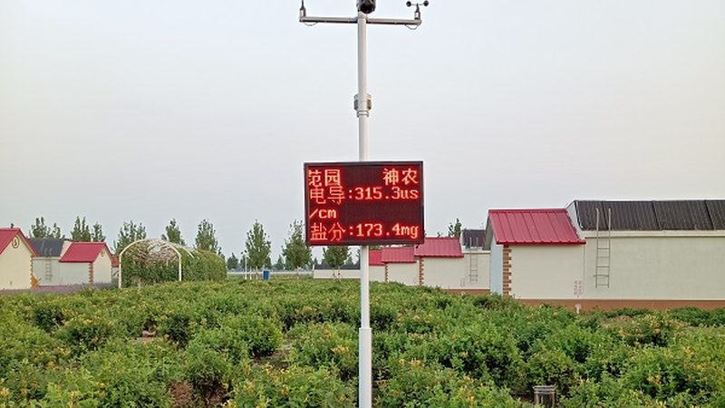 生鲜配送平台哪家好口碑