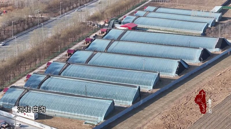 合作社注册材料章程模板：注册流程及要点解析