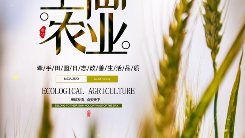 生鲜配送承包合同怎么签？关键步骤与注意事项